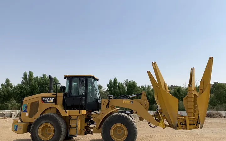 Tree relocation & landscape works