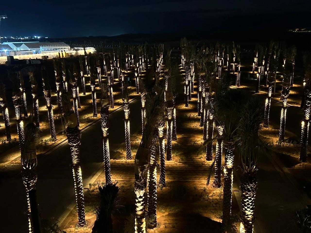night_compressed_2