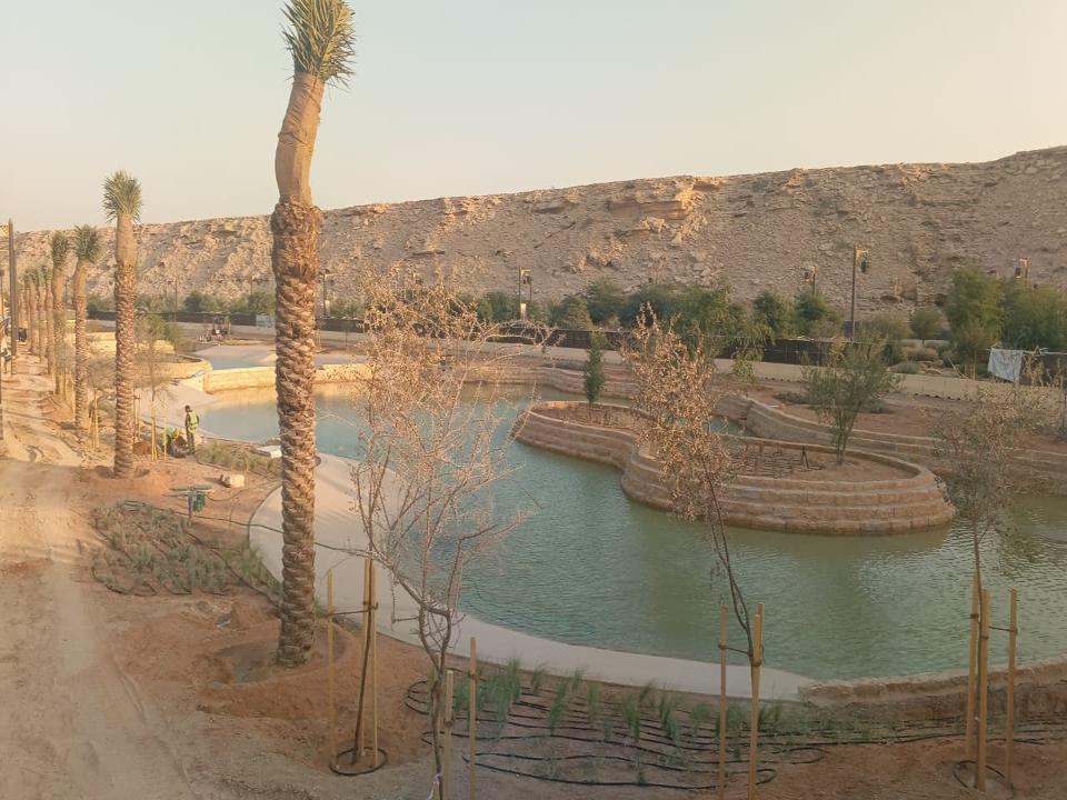resized_1